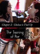 The Training of Poe: Ch.2 – Chelsea is Tied Up