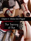 The Training of Poe: Ch.4 – Chelsea Gets Flogged