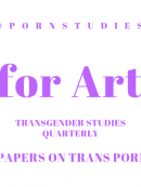 PORN STUDIES: Transgender Studies Quarterly (TSQ) Call for Papers on Trans Pornography