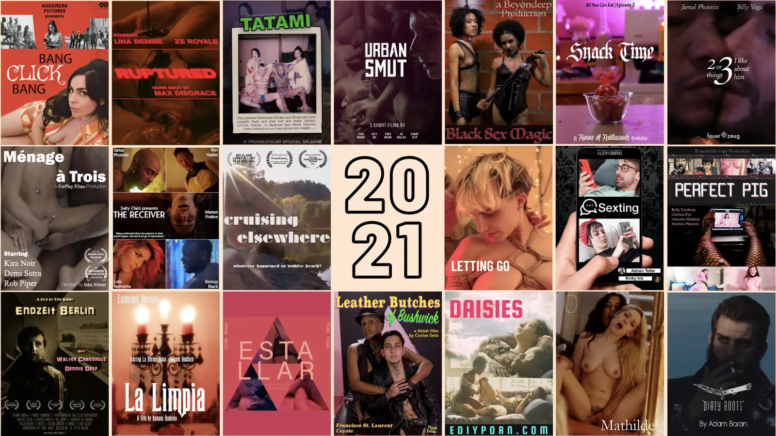 Bhojpuri Xxx Adult Movie - Top 21 Adult Film Highlights of 2021 - PinkLabel.TV