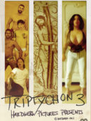 Triptychon III